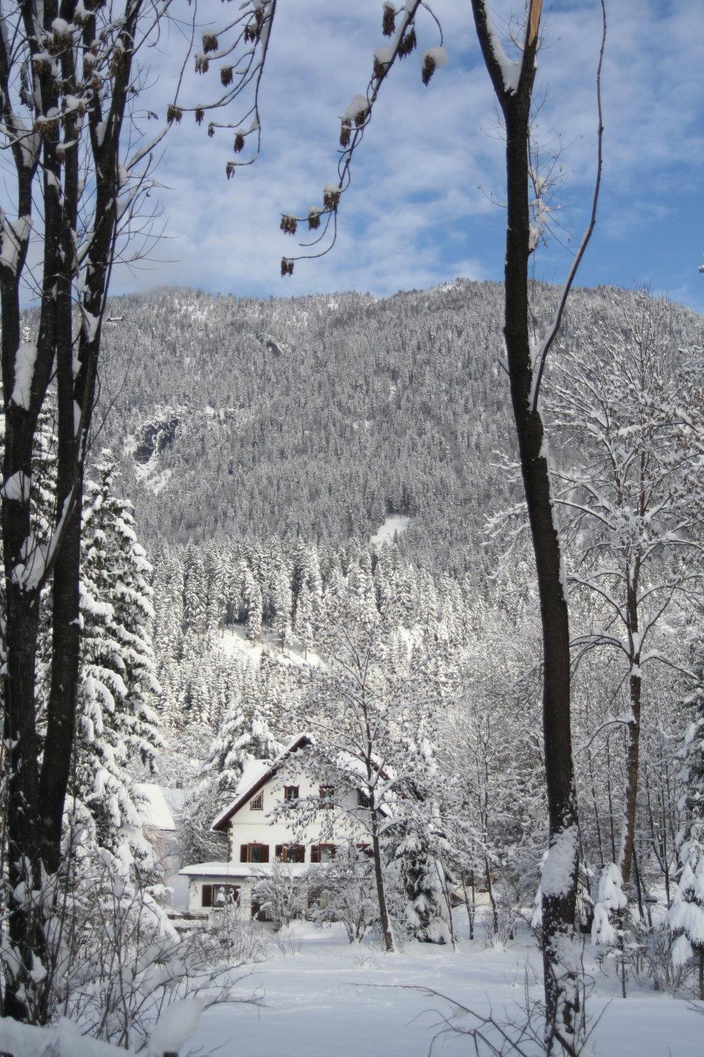 Das Kleine Paradies Hermagor-Pressegger See Exterior foto